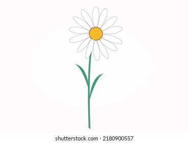 pink daisy flower slogan text and beautiful daisy flower. Vector illustration design. For fashion graphics  posters etc. positiveslogan motivational stationery butterffly monarch