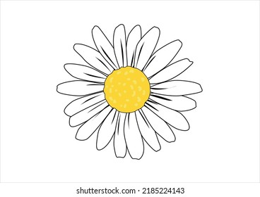 pink daisy flower slogan text and beautiful daisy flower. Vector illustration design. For fashion graphics  posters etc. positiveslogan motivational stationery butterffly monarch