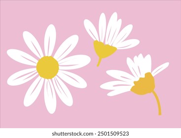 pink daisy flower vector design hand drawn