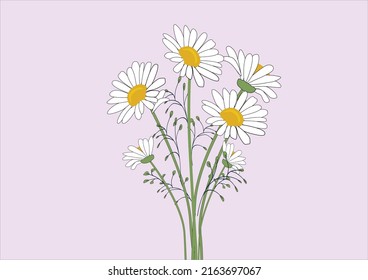 pink daisy vector hand drawn design vector 