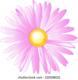 Pink Daisy Vector Image Stock Vector (Royalty Free) 220508032 ...