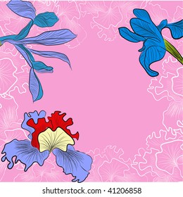 Pink decorative background with iris