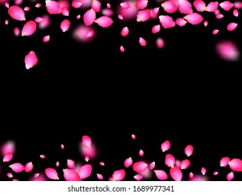 Pink delicate petals flying over black background. Apple spring tree blossom parts confetti. Flower petals vector illustration for wedding decoration. Seasonal wallpaper.