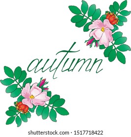 pink dog-rose set in corner with lettering autumn