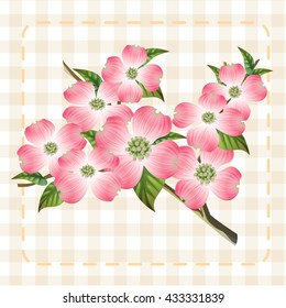 Pink Dogwood Cornus Hanamizuki Flower Illustration Vector