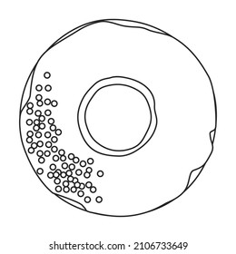 Pink doughnut vector icon.Outline vector icon isolated on white background pink doughnut.