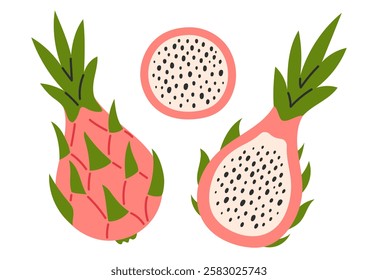 Pink dragon fruits set. Tropical fruits. Half and whole exotic pitahaya fruit. Collection of organic vitamins and healthy nutrition. Flat Vector illustration isolated on white background