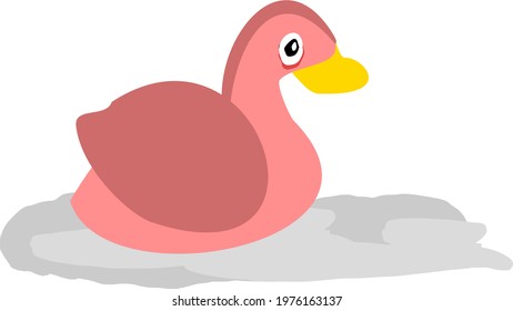 Pink Duck Isolated Bird Vector