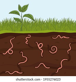 Pink earthworms in garden soil. Ground cutaway with worms. Farming and agriculture. Hand drawn vector illustration.