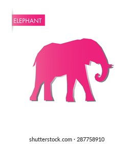 Pink Elephant vector,illustration design