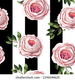 Pink English roses seamless pattern on a stripes background. 