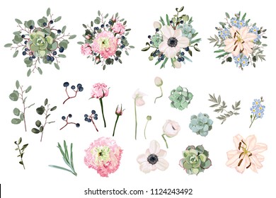 Pink eustoma, anemones, lilies, succulents, eucalyptus and berries campanula flowers and mix of seasonal plants and herbs big vector collection. All elements are isolated and editable.
