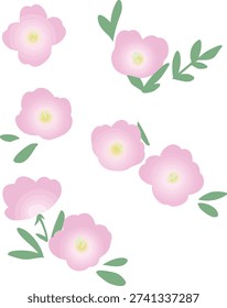Pink Evening Primrose Flower Flat Vector Illustration Isolated on Transparent Background