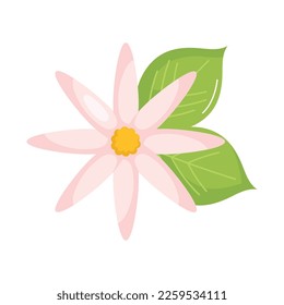 pink exotic flower with leafs