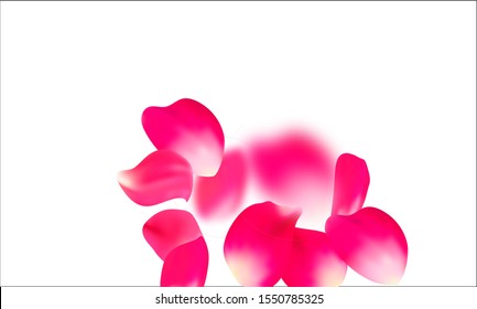 Pink falling petals isolated. Sakura flower pastel background.