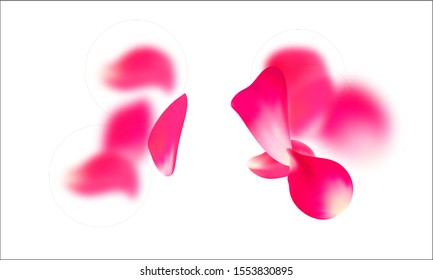 Pink falling petals. Falling Rose flower pastel background.