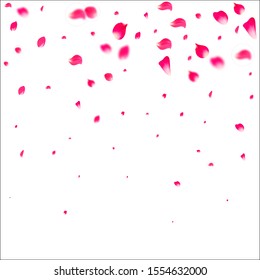 Pink falling petals falling. Rose flower pastel background.