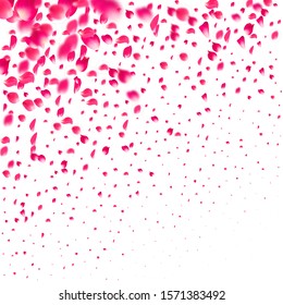 Pink falling petals falling. Rose flower pastel background.
