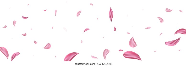Pink falling petals rose. Nice flower pastel texture background.