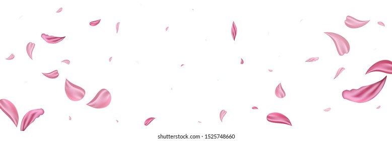 Pink falling petals rose. Nice flower pastel texture background.