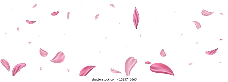 Pink falling petals rose. Nice flower pastel texture background.