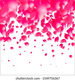 Pink falling petals rose. Nice flower pastel texture background.