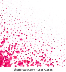 Pink falling petals of roses. Sakura flower pastel texture background.