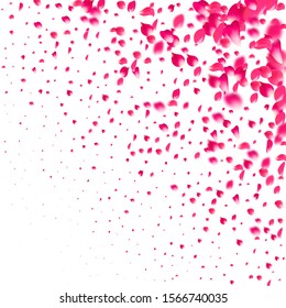 Pink falling petals of roses. Sakura flower pastel texture background.