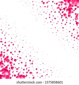 Pink falling petals wind. Sakura or rose flower pastel texture background.