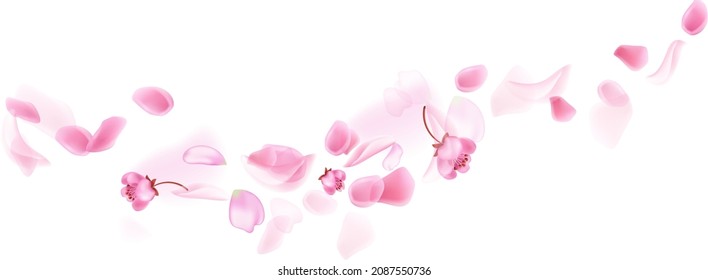 13,099 vectores de Flores png - Vectores, imágenes y arte vectorial de  stock | Shutterstock