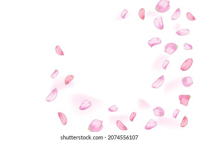 Pink falling sakura petals.Nature horizontal background.