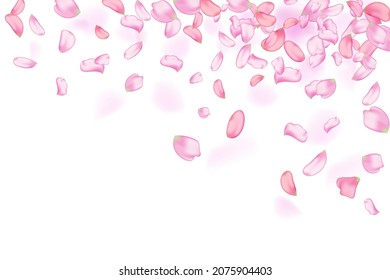 Pétalos de sakura rosados en caída. Fondo horizontal natural.