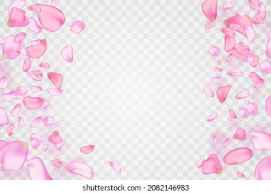 Pink falling sakura petals.Nature horizontal background.
