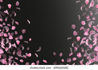 Pétalos de sakura de caída rosa.Naturaleza horizontal   fondo negro.