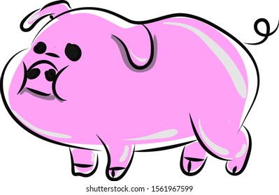 Pink fat pig, illustration, vector on white background.