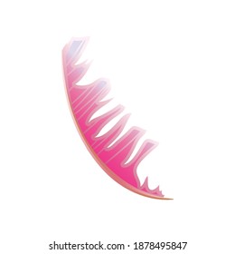 pink feather decoration gradient color icon vector illustration