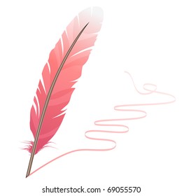 Pink feather and flourish isolated on white background