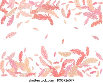Pink feather isolated on white pattern vector frame.  Abstract elegant border background. Editable background with flying feather elements and place for text. Frame vector design, card template.
