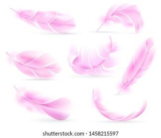 Pink feathers. Bird or angel feather, birds plumage. Flying fluff, falling fluffy twirled flamingo feathers. Realistic 3d vector isolated white shadow object set