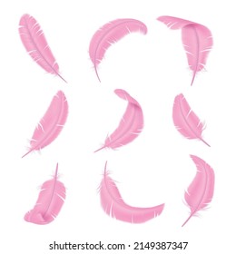 Pink feathers. Delicate color realistic bird feathering. Smooth and fluffy plume. Glamorous boa weightless elements. Flamingo wings plumage. Vector differently curved