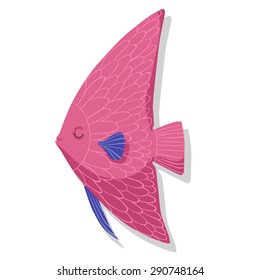Pink fish with blue gills on white background 