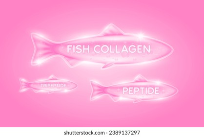 Pink fish collagen peptide, tripeptide solution with molecular. Oil omega extracted from nature fish. Vitamins serum bone and skin care. For cosmetic or beauty nutrition. Vector EPS10.