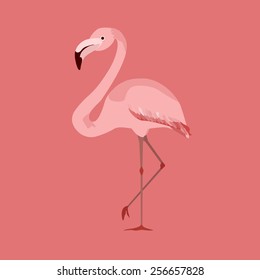 Pink flamingo