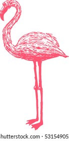 Pink flamingo