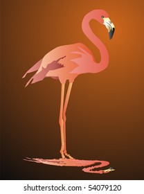 Pink flamingo against a dark background