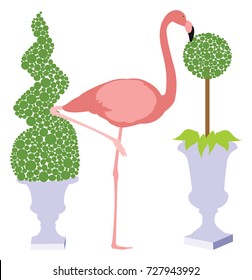 Pink Flamingo between two potted topiary bushes