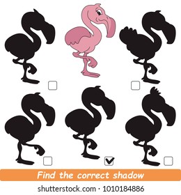 Pink Flamingo Bird Beautiful Shadow Set to Find the Correct Shadow, the Matching Educational Kid Game to Compare and Connect Objects and Their True Shadows, Simple Gaming Level for Preschool Kids.