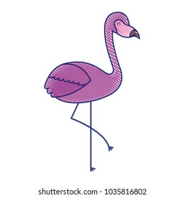 pink flamingo bird exotic image