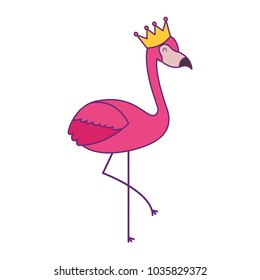 pink flamingo bird exotic image