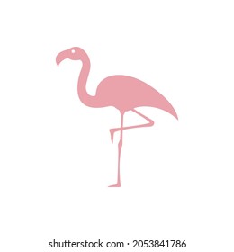 pink flamingo bird icon vector illustration for websites